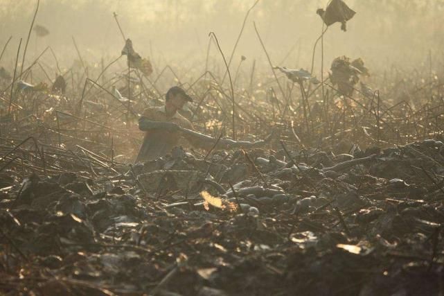 美食|中国三大美食之都,没去吃过遗憾终身!成都居然没有上榜