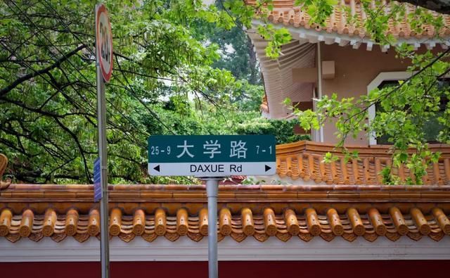 快乐|我在青岛做了这10件小事,找回了久违的快乐