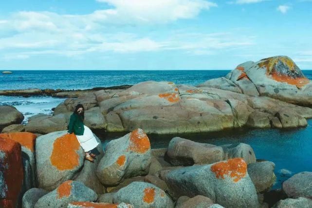  风景|塔斯马尼亚 | 世界尽头那颗绿色的心，是我念念不忘的风景