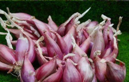 做法|10年馄饨店教:千里香馄饨黑葱油做法,在家也能做馄饨店的味道