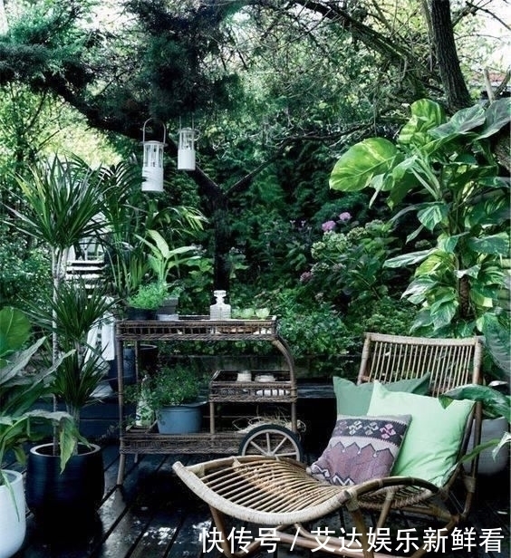 暮年|你我暮年,有个小院,足矣!