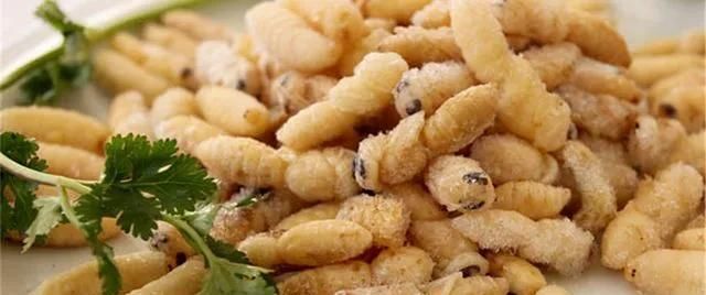 盘点|盘点全国各地下酒菜:我国民风已经彪悍成这样了吗?