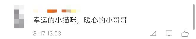  奶猫|流浪奶猫暴雨中被警察蜀黍救下，还在警队找到了工作……