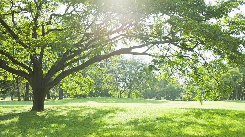  事业|15号后，运势大吉，喜多财旺事业兴的四大生肖!