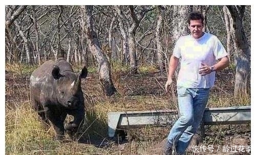 国外|国外男子救了一只受伤的犀牛，几年后，犀牛的出现很让人感动