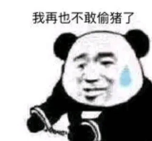 走高|奇葩！见猪价走高，古蔺男子凌晨偷走6头小猪崽，结果……