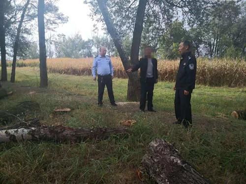 凉城县公安|乌兰察布市凉城县侦破滥伐林木案