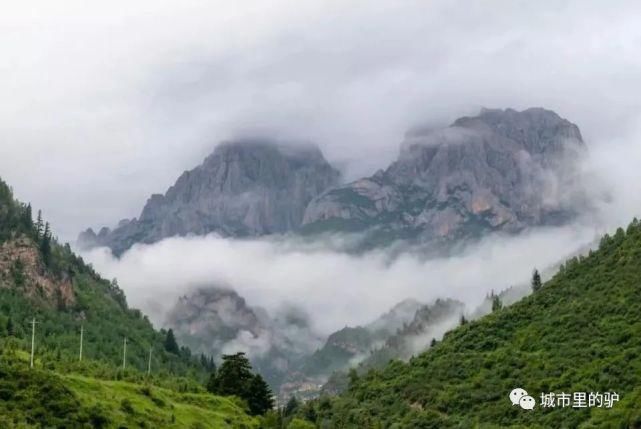  长白山|三伏暑热天，让我带你去这些只有25°的地方纳凉吧！