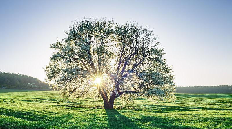  事业|15号后，运势大吉，喜多财旺事业兴的四大生肖!