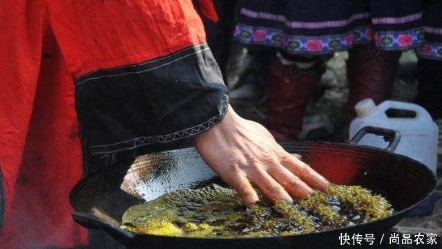 泰国|真相大揭秘:泰国下油锅的僧人是如何做到的?