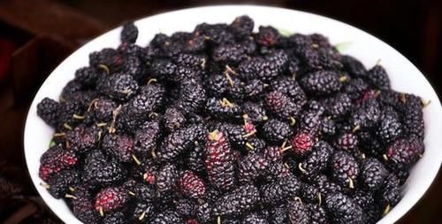 美容|小小桑葚干，秋后不用慌！美容安眠、身心舒畅健养起来