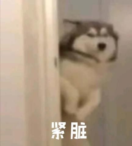  美丽|《喜欢你我也是》第二季聪雅独自美丽超slay 李汶翰展现硬核脑回路