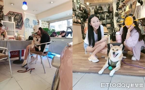 不动|柴老大持刀劫超商　爸笑翻：都不动怎么抢肉肉