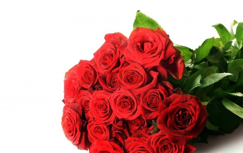  生肖|未来十天，天赐良缘，枯木逢春，爱情重现，厮守终生的四个生肖！