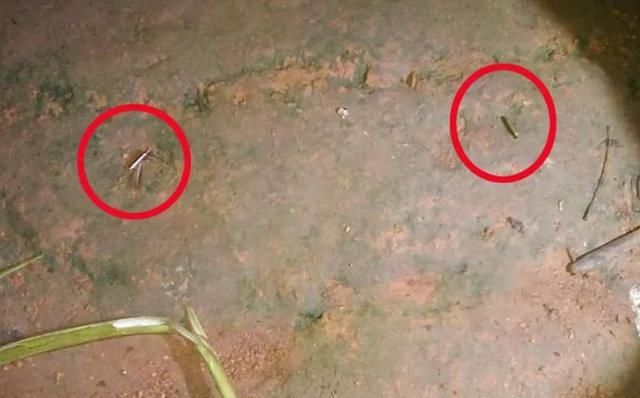  父子|缅甸小镇响枪声，一对父子在自家门口被枪杀