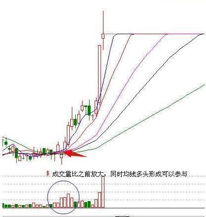  发声|一20年老股民终于发声：股市背后的庄家是谁？建议睡觉前看几行