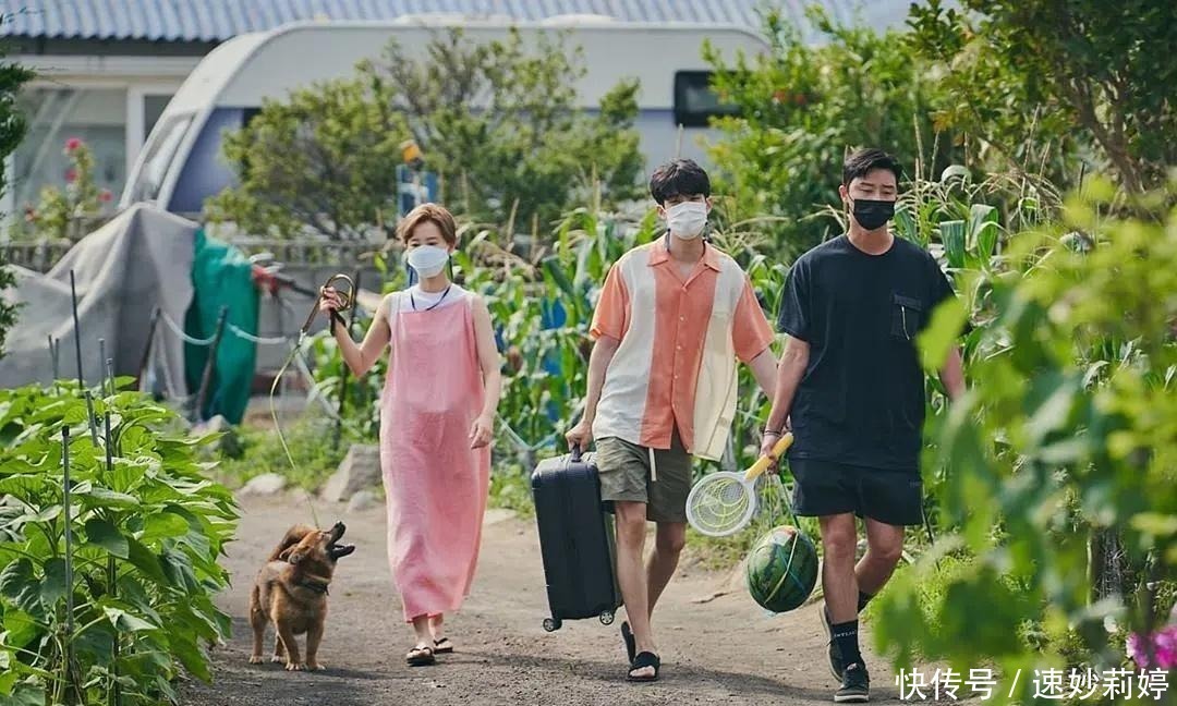 综艺|韩国最新爆款综艺!评分飙到9
