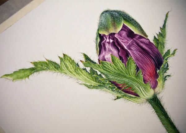  全职|一位全职妈妈喜欢疯狂画画，教你画水彩花卉