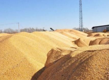  导致|八十年前的一场人祸， 当局政府剥削国民，导致四百万国民饿死