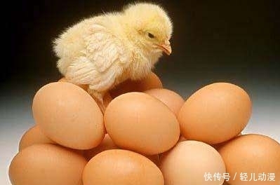 不合格食品|这些鸡蛋不能吃!被查出“禁用兽药”,更可恶的是涉及一所幼儿园