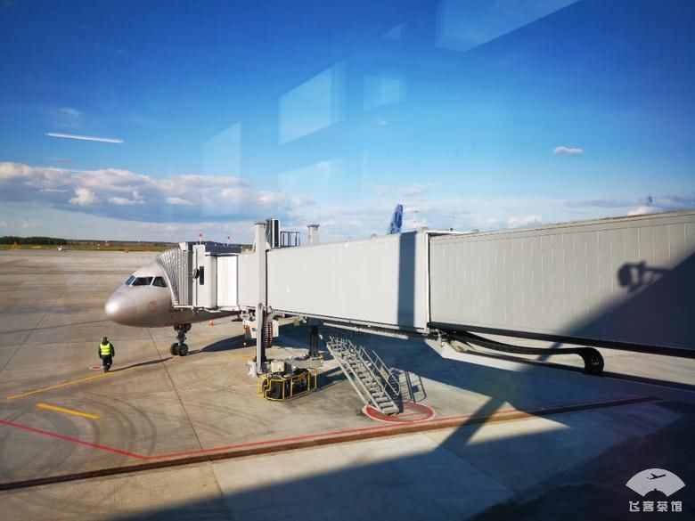 好看|拔草俄航95周年彩绘机！外观和机舱超好看，难怪有近9成上座率