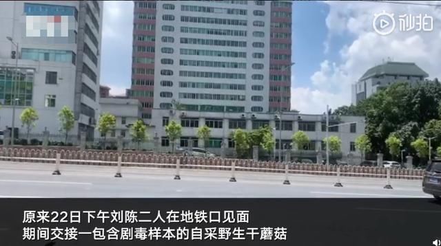  蘑菇|广州遗失剧毒蘑菇均已找回，警方：并非丢失，当事人与他人交易后忘记了