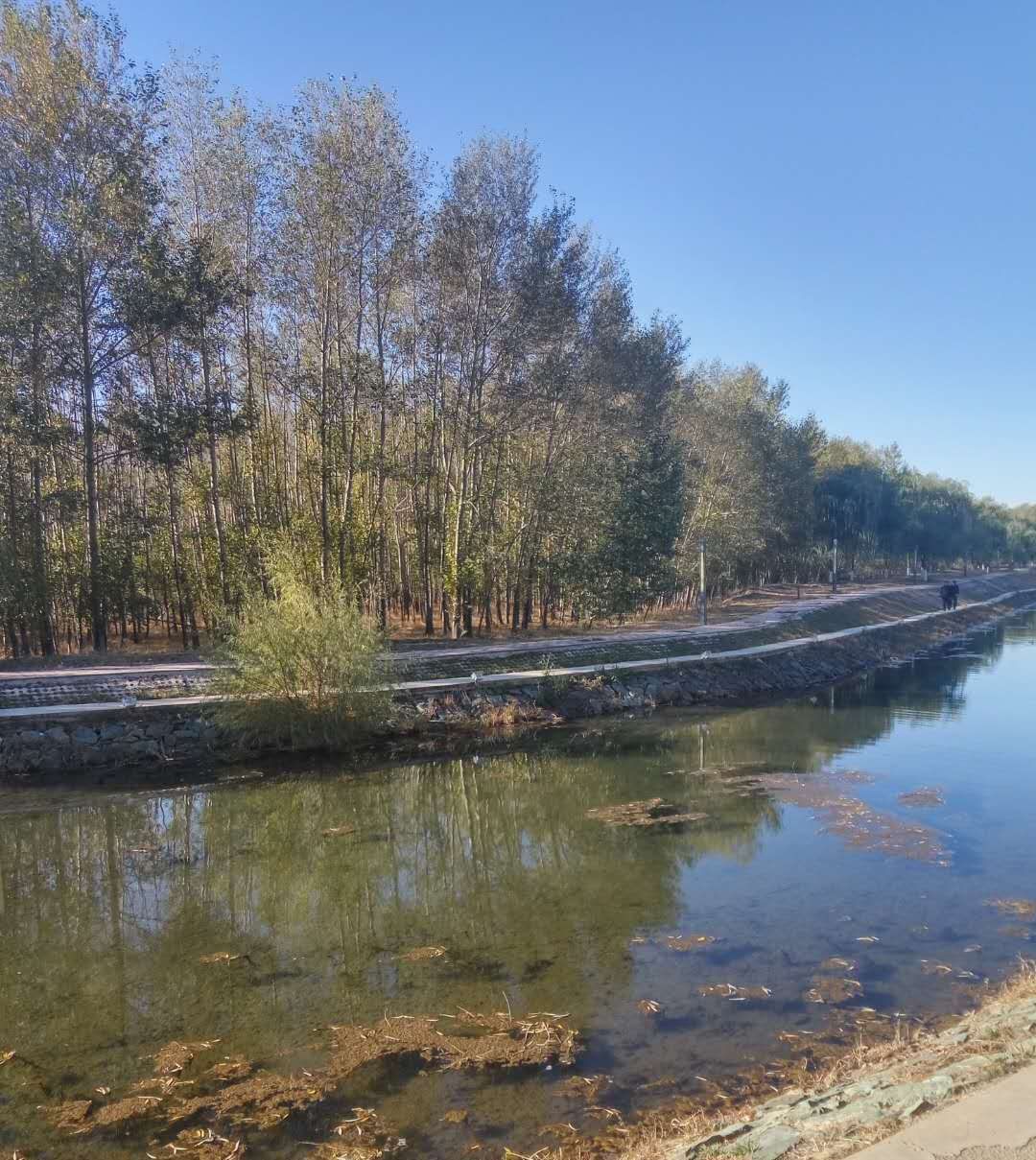  女人|活明白的女人，都能看清枕边人
