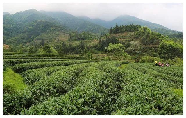  上海|盘点《三十而已》24处上海取景地，顾佳的豪宅原来在这里！