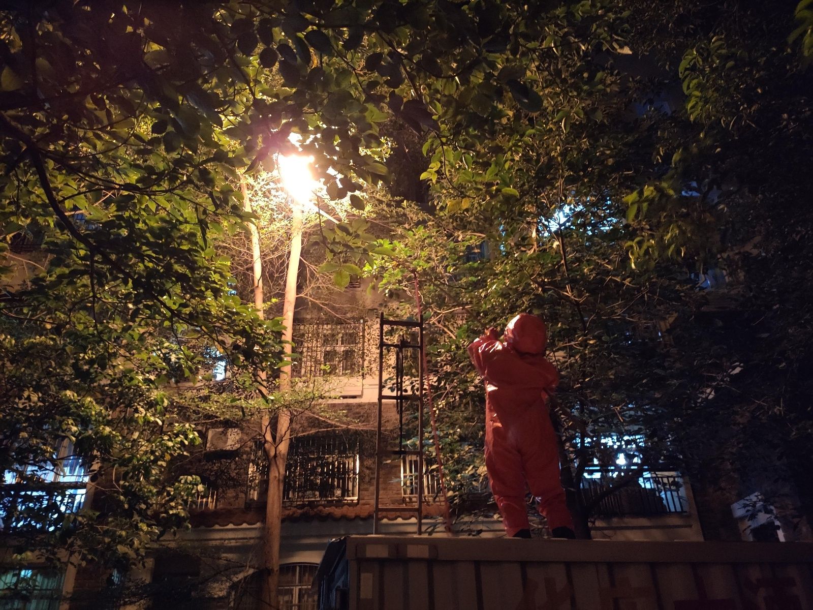  摘除马蜂窝|上思马蜂窝频频扰民 消防指战员迅速为民解忧