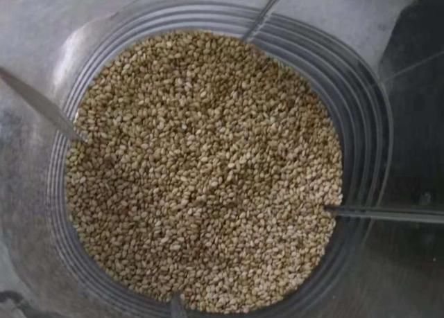  一滴水|爱吃芝麻酱不用买，教你不加一滴水和油自制芝麻酱，香浓又健康