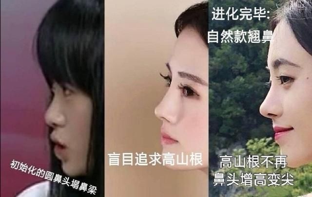  翻车|鞠婧祎成“四千年白痴美女”，人设严重翻车：千万别上综艺节目了