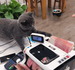 承担|如果100万让你跪下,你会承担吗?