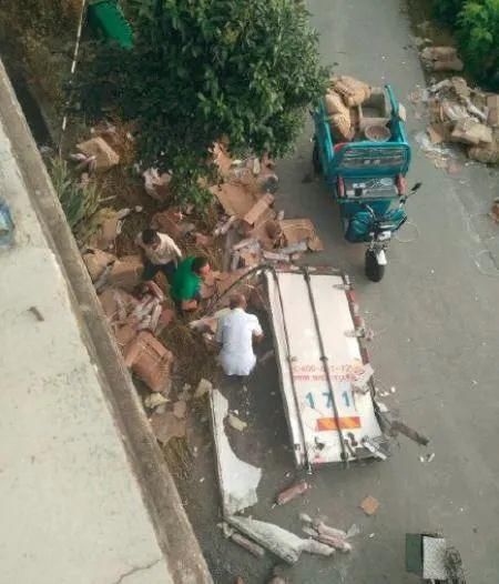 生活|7吨猪肉被疯抢，大家似乎“拾捡”的心安理得了