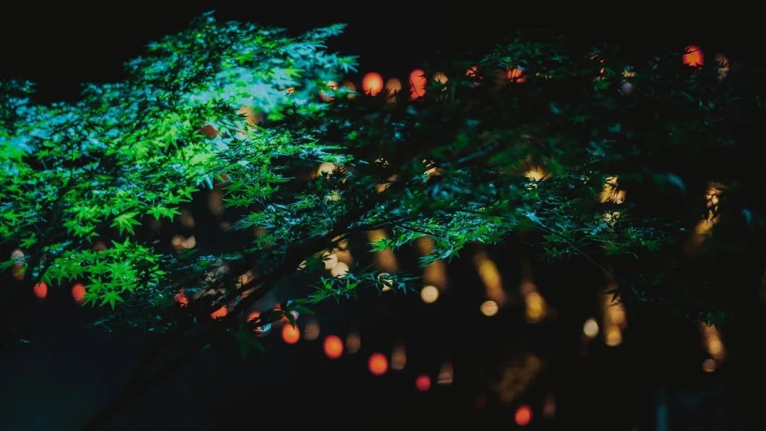  导演|今晚8?点！丽水街！《牡丹亭·惊梦》！不见不散