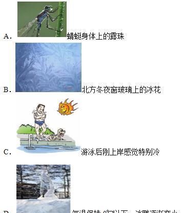 发快慢的因|吃透这8个考点，彻底拿下中考物理：物态变化专题，轻松得高分