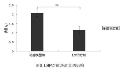  壮阳|枸杞养生、壮阳补肾的科学依据。