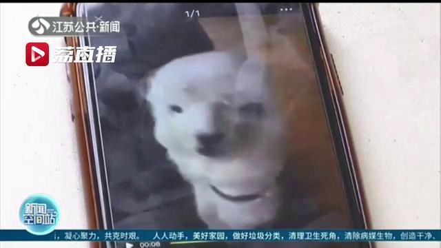  拉黑|女子二手货平台上万元买羊驼，对方让在其他平台付钱：刚支付完就被拉黑