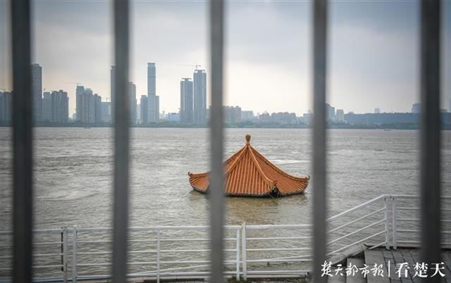  凉亭|黄花矶凉亭成“标尺”，长江水位降了