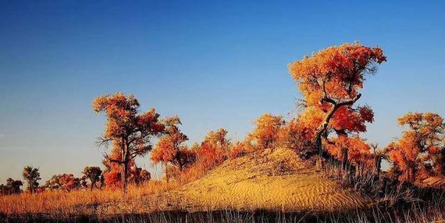 时期|隋朝时期的西域