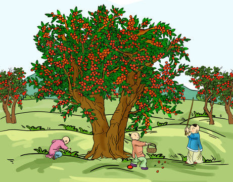 吃法|故乡的大红枣,有最美的几种吃法,你尝过吗?