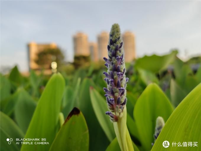  屏幕|新鲜发布：腾讯黑鲨3S手机全面体验，想了解啥看这篇