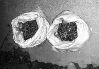 一家人|一家人组团偷菜,67岁老母亲带女儿女婿潜入他人菜地,凌晨作案早市销赃