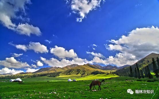 草原|为何草原上的草 “野火烧不尽，春风吹又生”