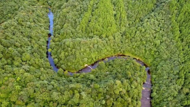  天府大地|竞赛 – “种子力”公共装置设计竞赛全球招募正式开启！