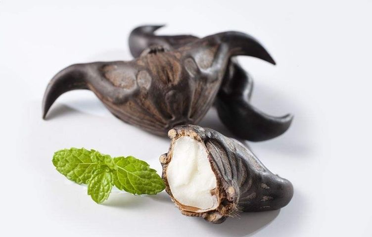  开胃|后天处暑！处暑时节多吃这四样菜，滋补美味，营养开胃，不容错过