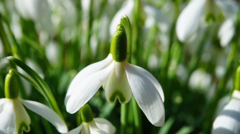 发大财|8月开始好运相伴,财富大利,闷声发大财的四大生肖