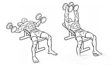  胸肌|男人胸肌锻炼指导