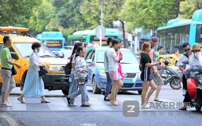 志愿者|礼让斑马线 从你我做起