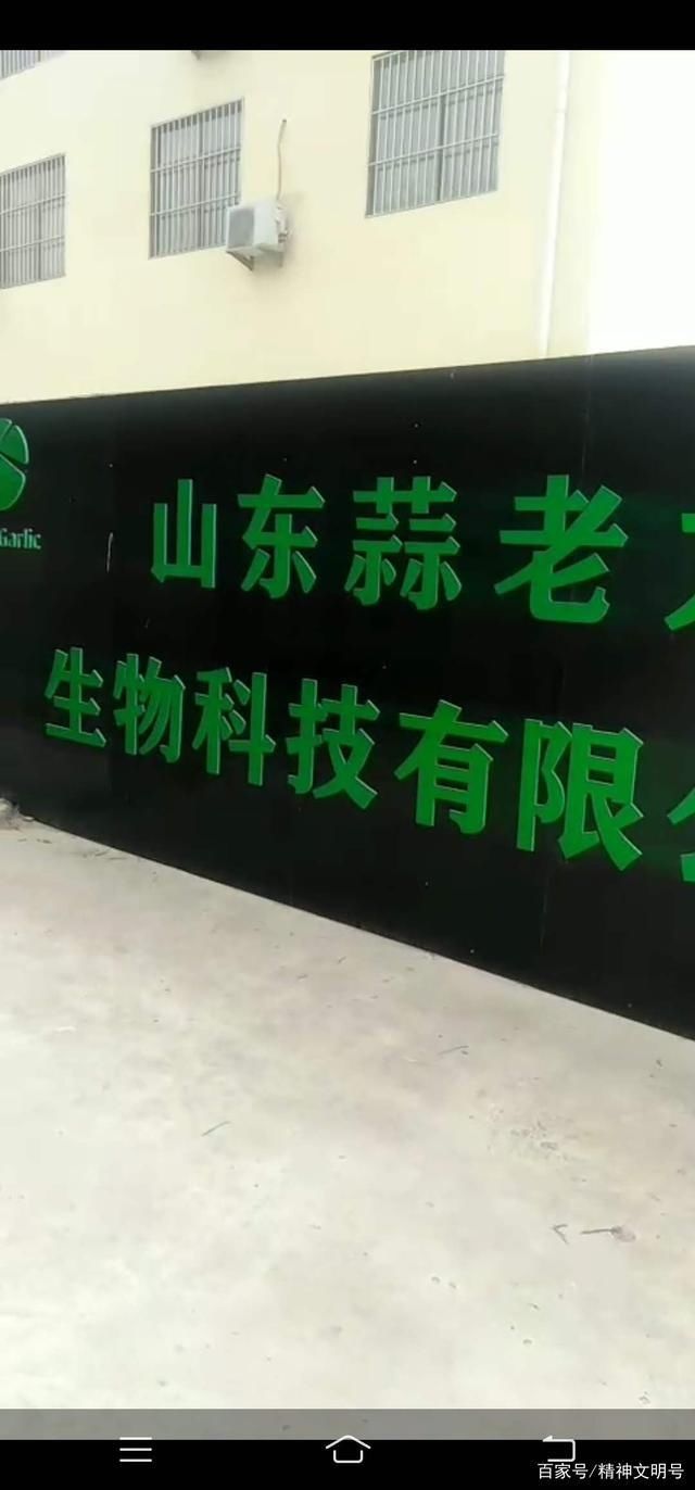  限公司|山东巨野“蒜老大”疑似传销狂敛百姓血汗钱