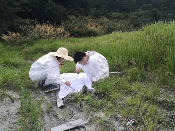  市疾控中心|高发期！野外活动千万要小心这种虫子！